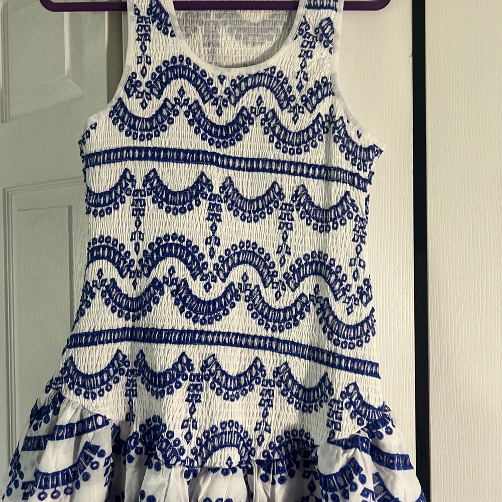 Embroidered Ruffled Sleeveless Dress - Picture 5 of 16